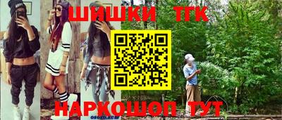 spice Заводоуковск