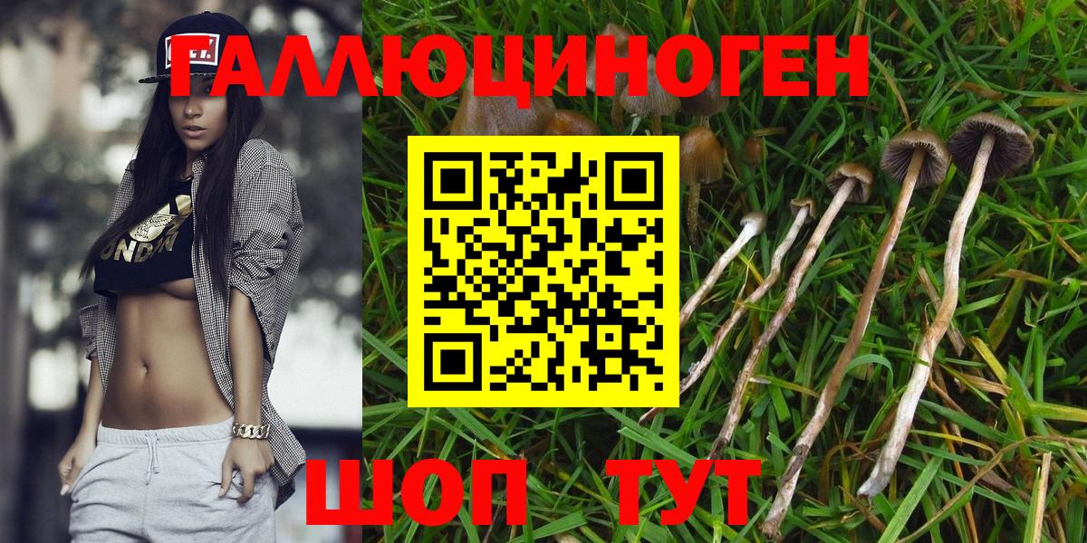 Псилоцибиновые грибы Psilocybe  Вход с VPN  даркнет сайт  Камышлов 