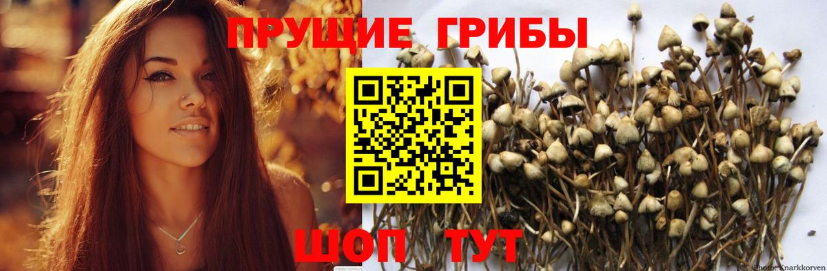 Канабис  Камышлов  Героин  Лсд 25  ГАШ  Меф МЯУ МЯУ кристаллы  КОКАИН  Вход с VPN 