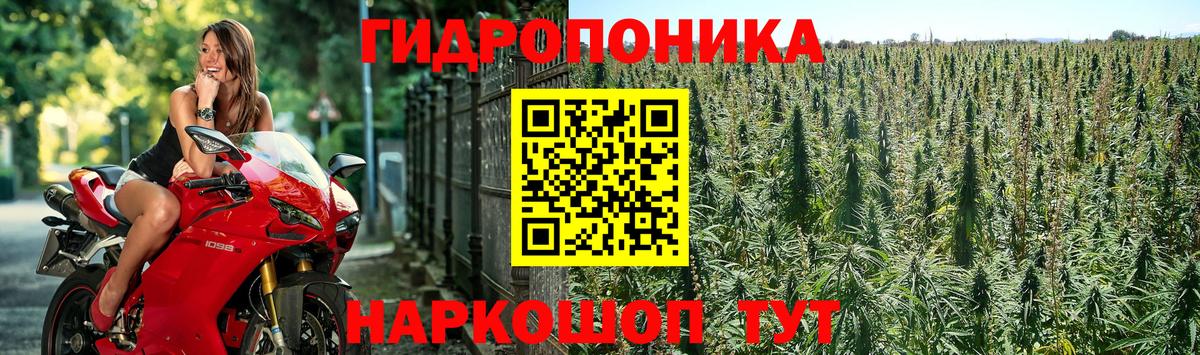 МАРИХУАНА VHQ  Вход с VPN  Камышлов  Бошки Шишки планчик 